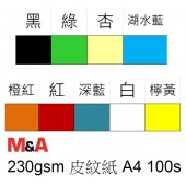 230g 皮紋紙封面 A4 100s